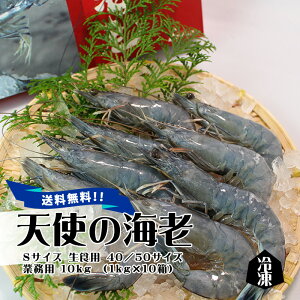 Vg̊CV STCY Hp 40/50TCY 1kg Ⓚ []