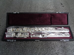 �V���ׁ@���}�n�@�t�B�l�X�@�t���[�g YFL-517 �V�i