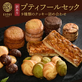 訳あり クッキー プティフールセック 送料無料 9種 おまけ付 詰め合わせ 個包装 お歳暮 御歳暮 クリスマス 焼き菓子 ギフト プチギフト プレゼント 贈り物 誕生日 スイーツ フロランタン 抹茶 アソート おしゃれ 可愛い 手土産 退職 お返し お中元 かわいい