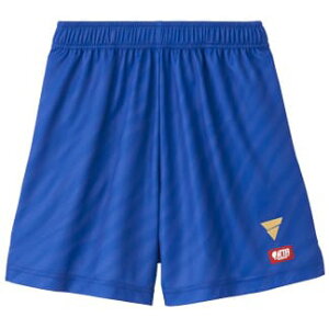 VICTAS V-GP503 jtH[ Q[pc BN^X 싅 522501