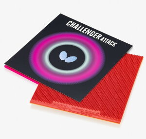 Butterfly@`W[ A^bNio^tCj 싅 \\tgo[ ^}X@00180