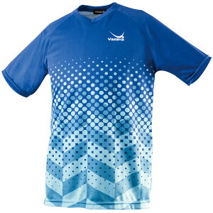 hbgOfjtH[@YASAKA@TJ@싅@jtH[@Y-248