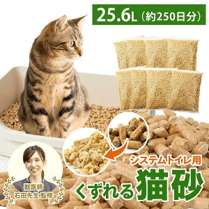_xebtďC ݌voא17˔j^ L ؎ybg ^Cv y͏LRہzlR 25.6L 2kg×8 / 16kg 250 VXegC VR Y юUɂ ؐ