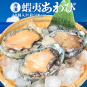 あわび 鮑（貝むきナイフ・片手用軍手付） 冷凍 蝦夷鮑 冷凍 アワビ 海鮮 バーベキューセット