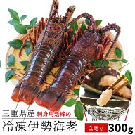 三重県産 伊勢海老詰合せ 1尾で約300g 送料無料 刺身用瞬間冷凍 伊勢エビ p2 敬老の日 ギフト