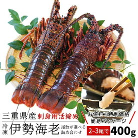 伊勢海老 三重県伊勢志摩産 特別セール品 2～3尾で約400g 送料無料 刺身用瞬間冷凍 伊勢エビ 訳あり イセエビ プレゼント ギフト