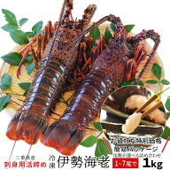 伊勢海老 三重県伊勢志摩産 1～7尾で約1kg 送料無料 刺身用瞬間冷凍 伊勢エビ 訳あり イセエビ 敬老の日 …