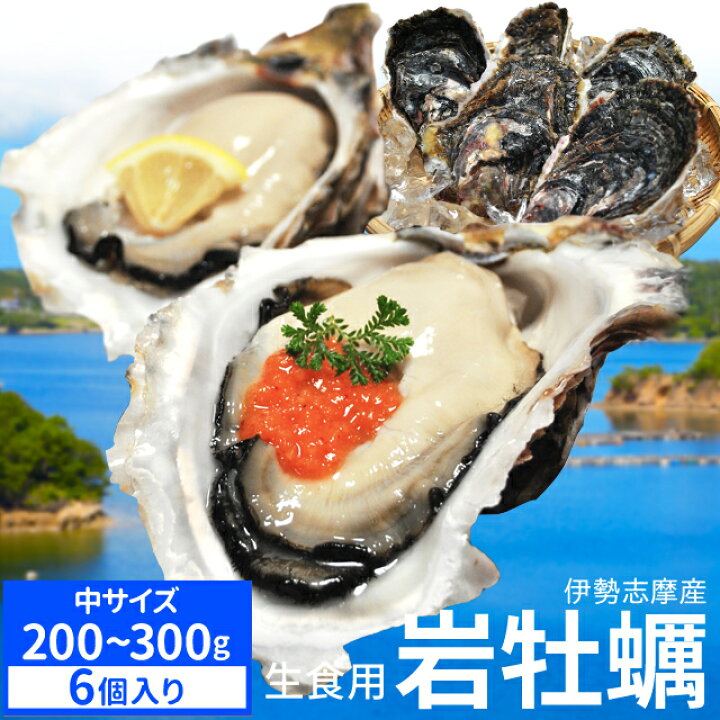 楽天市場 伊勢志摩産岩牡蠣 中サイズ １個あたり２００ ３００ｇ ６個 送料無料 身入り厳選 牡蠣ナイフ 軍手付 生食用 夏季限定 伊勢鳥羽志摩特産横丁
