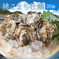 牡蠣 桃こまち 20個 殻付き牡蠣 （牡蠣ナイフ・片手用軍手付き）発泡箱入 三重県鳥羽産（加熱用） 卒業祝…