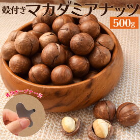 マカダミアナッツ 殻付き 500g 素焼き 専用オープナー付 大容量 ロースト マカデミアナッツ