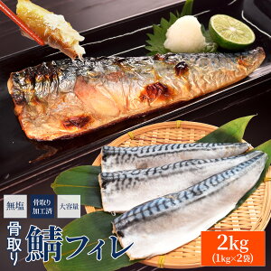 tB Ȃ  ^Cv 1kg 2kg I To O낵 e