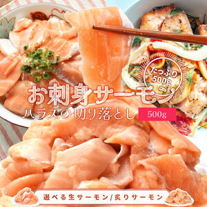 T[ nX ؂藎Ƃ hgp Etǂ炩Iׂ500g TCYs lłi g H Ⓚ