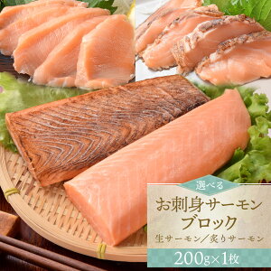 T[ ubN hg   t Iׂ 200g×1 ǂ ς H Ⓚ v[g Mtg