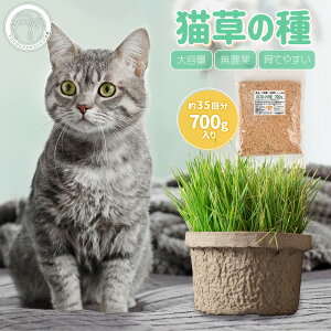 L  700g L   I[c L  ybg e _ _sgp ыʔro ֒ʉP XgX