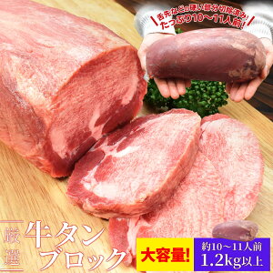 ^ ubN ㋉ʌI 1D2kgȏ  ؂ Xe[L ē BBQ o[xL[ ^ ^ ^ v[g Mtg