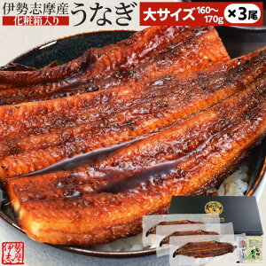 Ȃ ɐuY  TCY 3 t  Y EiM V Ă N̓  Ⓚ ϔ v[g Mtg