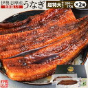 うなぎ 伊勢志摩産 たれ 超特大サイズ 2尾 たれ付 送料無料 国産 ウナギ 鰻 蒲焼き 丑の日 個包装 冷凍 化粧箱入 お中元 ギフト