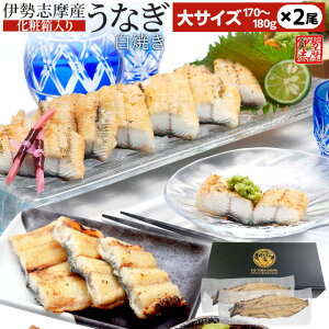 うなぎ 伊勢志摩産 白焼き 大サイズ 2尾 送料無料 国産 ウナギ 鰻 蒲焼き 丑の日 個包装 冷凍 化粧箱入 プレゼント ギフト