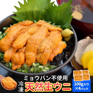  100g×4 Ⓚ Ej hg _O Y ŏ㋉O[h `Y CN