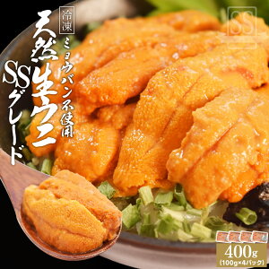 ���� �V�R �� �E�j ���I�i SS�O���[�h �Ⓚ �h�g �_�O ���Y�� �C�N��