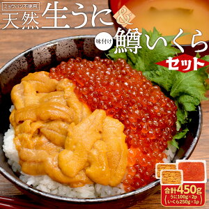   Zbg VR 200gi100g×2j  ݖЂ 250g v450g CNŖ5t Ej  EjCN CN F 炵 i Ⓚ hV̓ Mtg