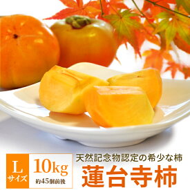 柿 伊勢蓮台寺柿 Lサイズ 10kg 送料無料 天然記念物認定 完熟柿