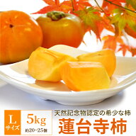 柿 伊勢蓮台寺柿 Lサイズ 5kg 送料無料 天然記念物認定 完熟柿