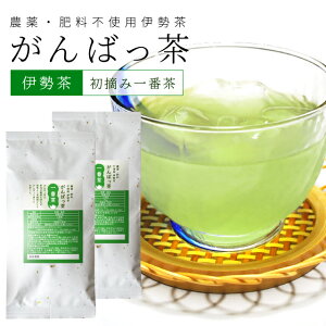 ɐ EԐ140gi70g×2j  _ { OdY _E엿sgp͔|