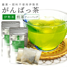 伊勢茶 煎茶ティーバッグ30包（15包×2個） お茶 無農薬 日本茶 三重県産 農薬・肥料不使用栽培