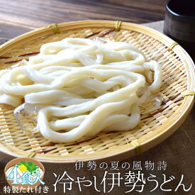 冷やし 伊勢うどん4食入 メール便送料無料 もちもち手打ち式麺と魚介だしの甘口たれ ランキング 通販 夏季限定 NP