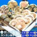 貝の海宝焼 牡蠣8個 さざえ4個 ホンビノス貝4個 ほたて片貝10個 冷凍便配送 冷凍貝セット（牡蠣ナイフ、片手用軍手付）カンカン焼き ミニ缶入 海鮮バーベキューセット 母の日 ギフト