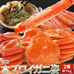  킢 {C p 21kgOi500gO×2nCjɂ݂ NNn  {YCKj I