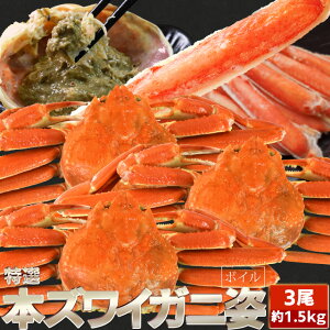  킢 {C p 31.5kgOi500gO×3nCj ɂ݂ NNn  {YCKj I