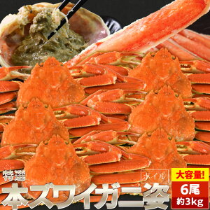  킢 {C p 63kgOi500gO×6nCj ɂ݂ NNn  {YCKj I