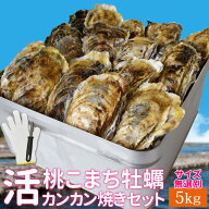 牡蠣 カンカン焼きセット 桃こまち サイズ無選別5kg（約80個前後入） ミニ缶入り 送料無料 加熱用（牡蛎…