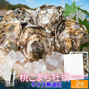 �����܂� ���y �T�C�Y���I�� 2kg�i25�O�����j �ɐ��u���̗����Ŋl���� �k�t�� ���a ���A������ ���M�p ���������i���a�i�C�t�E�Ў�p�R��t���j�O�d�����H�Y �C�N�o�[�x�L���[ �Z�b