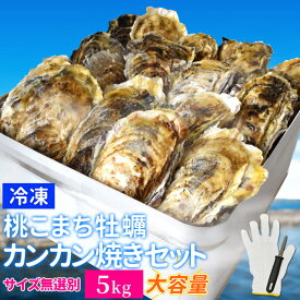 牡蠣 カンカン焼き セット サイズ無選別 5kg（60個前後入） 冷凍牡蠣 送料無料 桃こまち 鳥羽産 中缶入（牡蠣ナイフ・片手用軍手付き）殻付き牡蠣 一斗缶 海鮮バーベキューセット 旬凍桃こまち