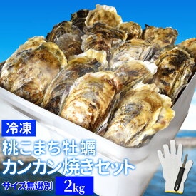 牡蠣 カンカン焼き セット サイズ無選別 2kg（25〜30個前後入） 冷凍牡蠣 送料無料 桃こまち 鳥羽産 ミニ缶入（牡蠣ナイフ・片手用軍手付き）殻付き牡蠣 一斗缶 海鮮バーベキューセット 旬凍桃こまち