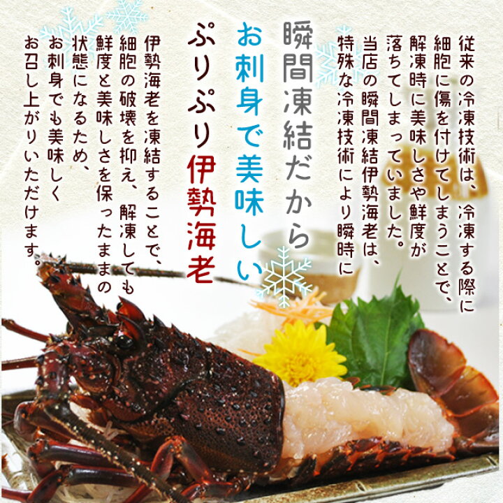 楽天市場】三重県産伊勢海老1尾390〜420g お刺身用冷凍伊勢 