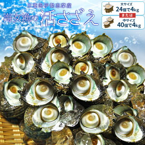 魚 壺 食品の人気商品 通販 価格比較 価格 Com