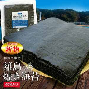 ĂC40 [֑ OdH̗ň̍CۂґɏĂグ܂ ɐuY