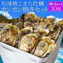 牡蠣 桃こまち カンカン焼き セット M～Lサイズ 30個入 冷凍牡蠣 送料無料 旬凍 産地厳選 ミニ缶入（牡蠣ナイフ・片手…