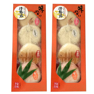 味めぐり蒲鉾 4枚入り×2個 (特産横丁×全国の珍味・加工品シリーズ)(冷蔵) OUS 三重県 伊勢 志摩 お土産