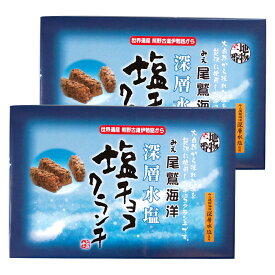 みえ尾鷲海洋深層水塩 塩チョコクランチ 12個×2個 （特産横丁×全国の珍味・加工品シリーズ） OUS 三重県 伊勢 志摩 お土産