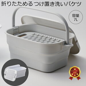 u oPc ܂肽 7L 2023N7 Vi t^t t W zCg O[  ^C ybg hbOEGA C C Xq  ISETOy[J[cz