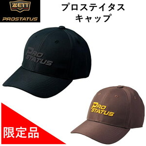 [bg vXeC^X CAP Lbv Xq 싅 2025  H ~ BH89001 i 싅D Xq EhoCU[Lbv ubN uE  t@bV i ^E[X  l