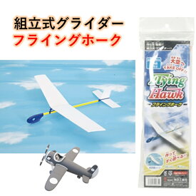 模型飛行機 フライングホーク 飛行機 模型 スポーツ 祭 お祭り 地域 施設 行事 学校 小学生 おもちゃ 教育 学習 授業 和玩具 競技 伝統 伝承 あそび 昔 むかし遊び 池田工業社 日本のおもちゃ 紙飛行機 ひこうき 子供 自由研究 夏休み 組み立て式