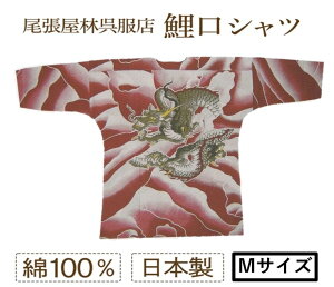 Vc lpVc  Vc Ci[ TVco a   El ɂȂ { ՍD iDǂ j   Ղpi Ղߑ aVc   jt