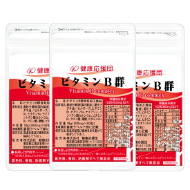 【スーパーセール限定】健康応援団 ビタミンB群 3ヶ月分 30日分 3袋 セット サプリメント サプリ