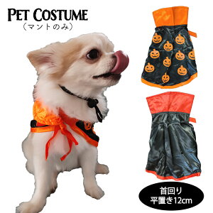 nEB RXv RX`[ p     @}g wAANZT[ ybg L ߕ ybg U o| H ~ ybgObY LbgEFA hbOEFA 